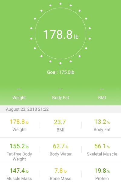 Renpho Smart scale review – Dave The Kayaker